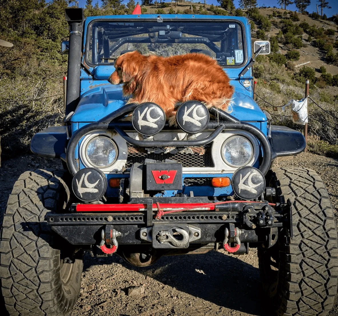 1964972