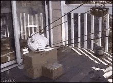 1561151400357.gif