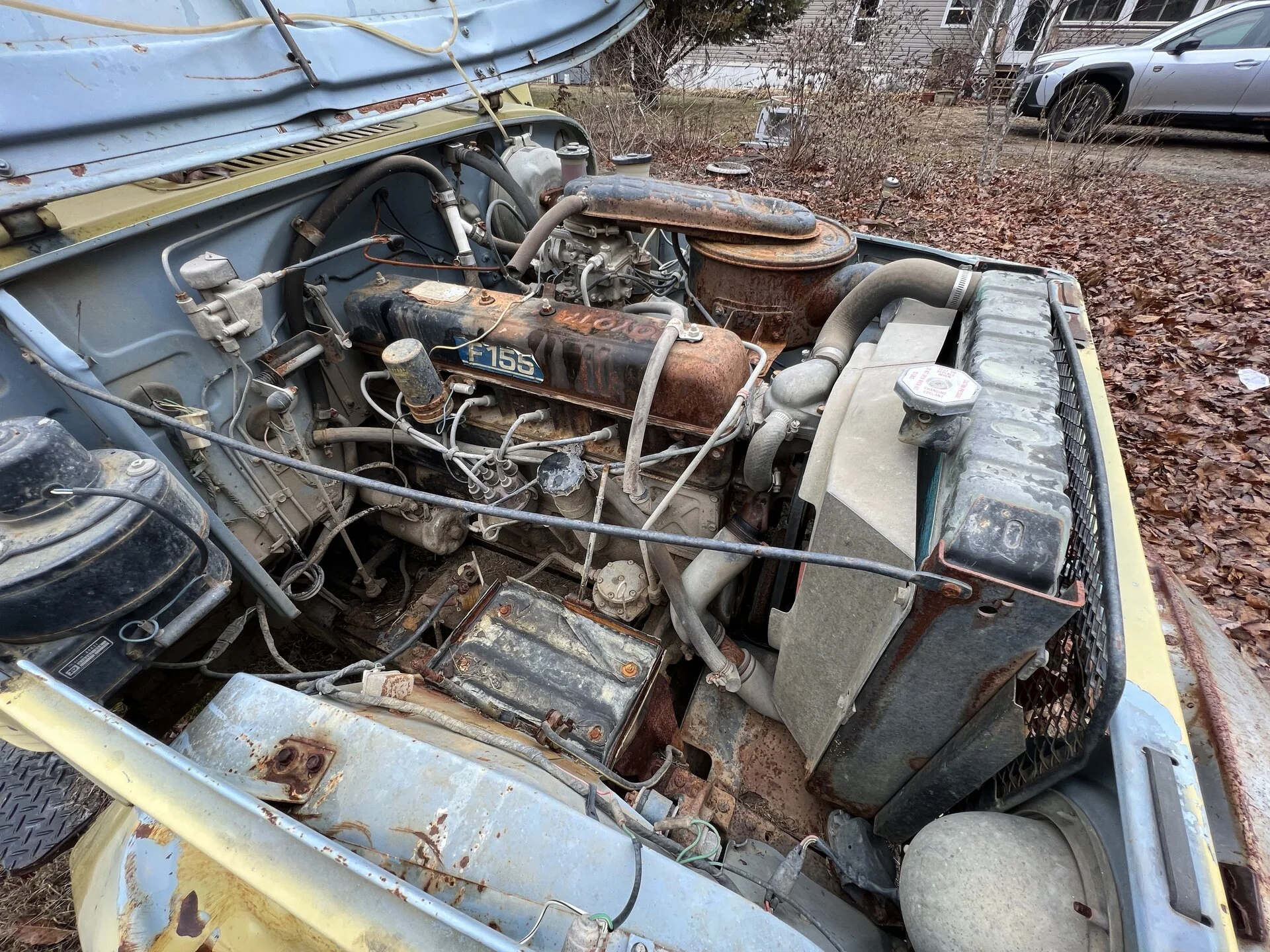 15F542D2-ED62-4AC2-94C3-450FE95ADA89.webp