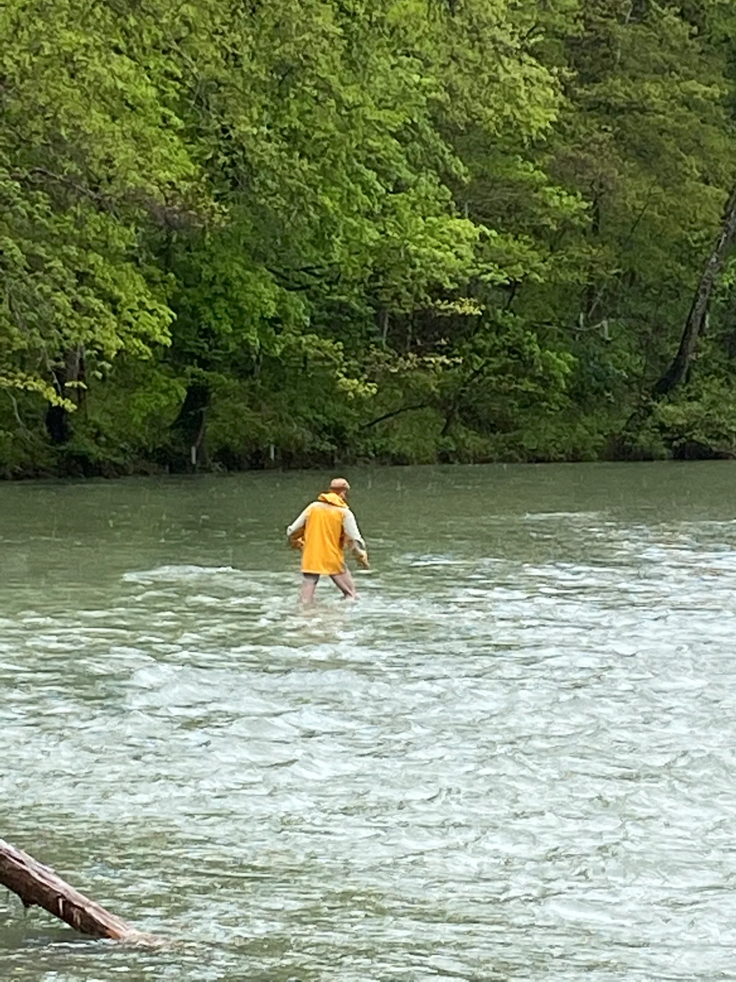 1620096965669.webp