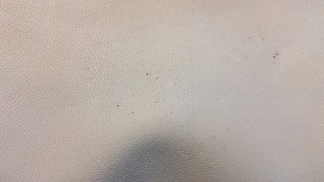 1626942235969.webp