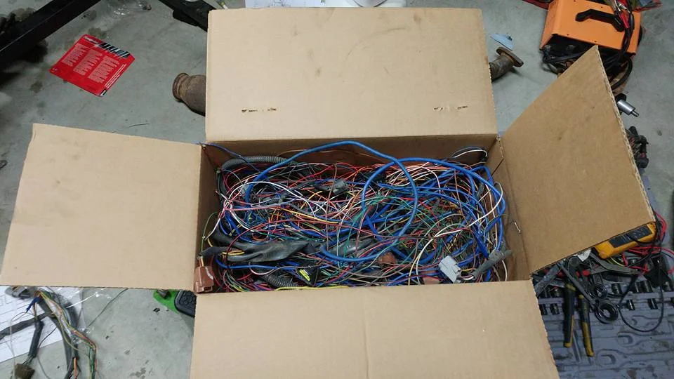 16299347_10154463051332637_1612786807817438881_n.webp