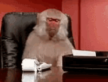 1651796457225.gif