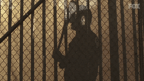 1684799587526.gif