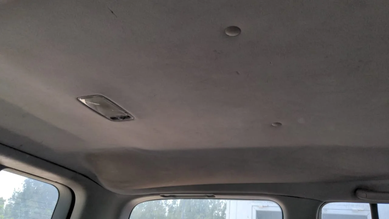 1686416218576.webp