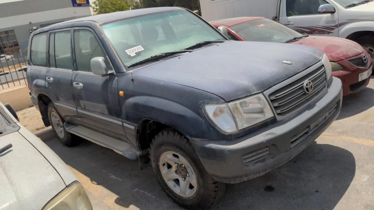 1686416684275.webp