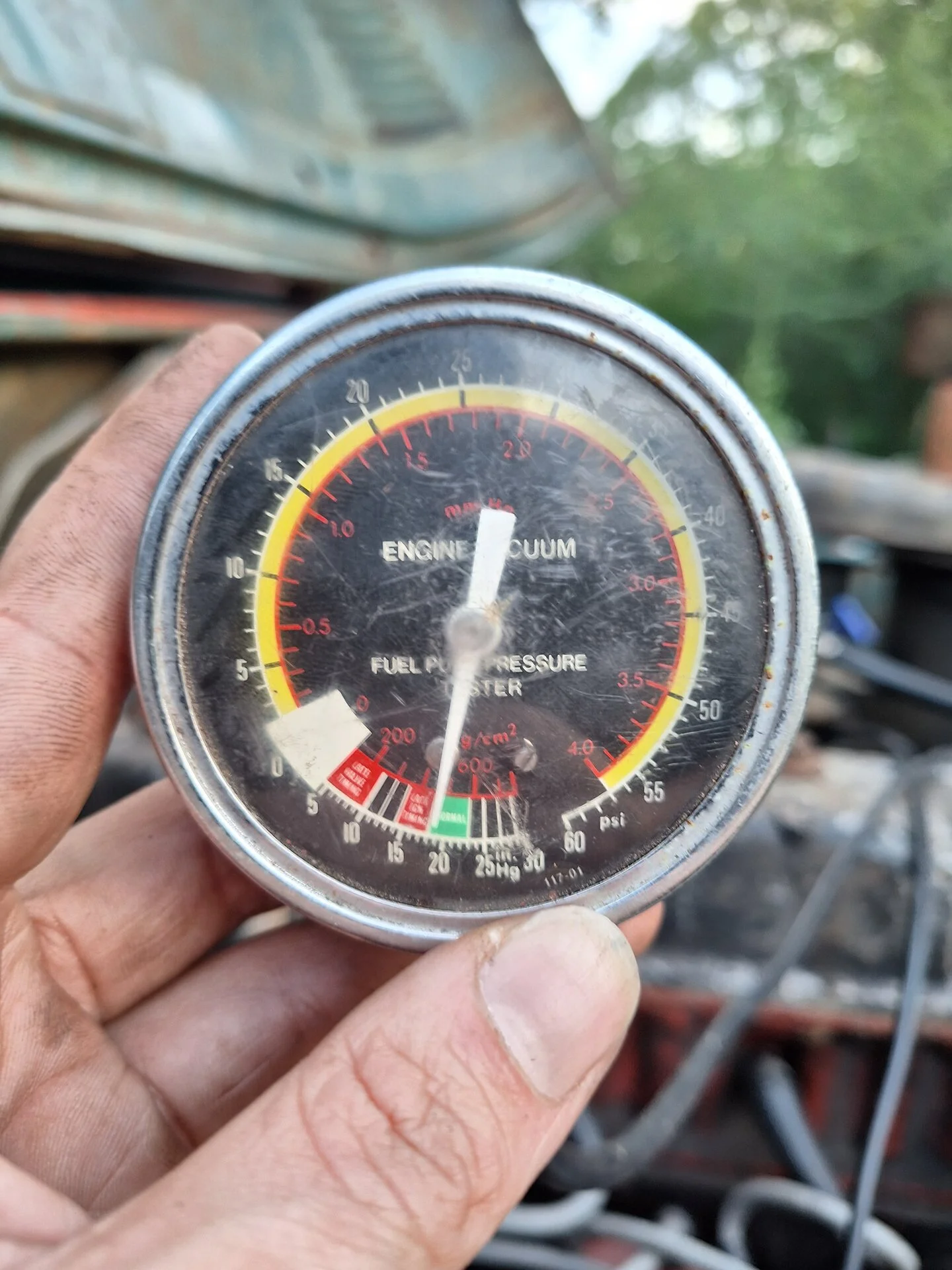16905911268711111193260698344259.jpg
