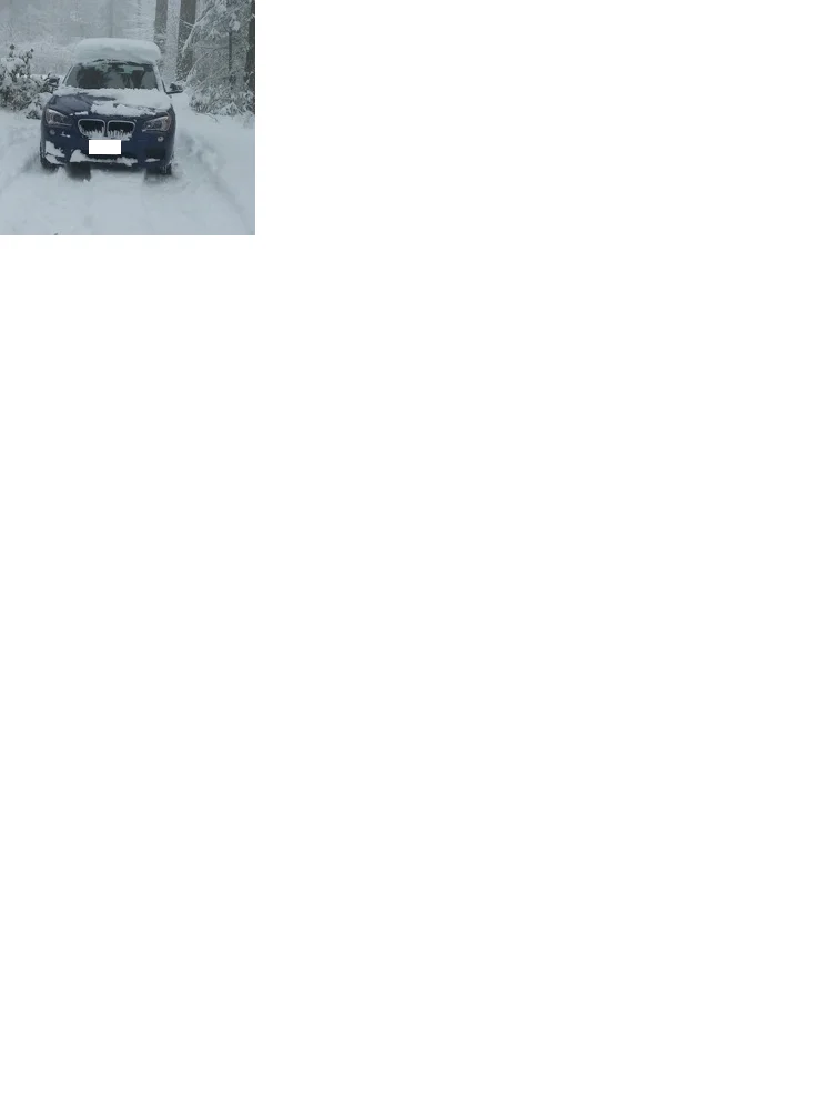1698259043321.webp