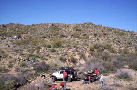17 rigs.webp