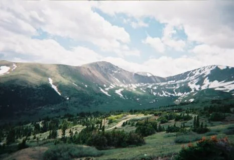 17.webp