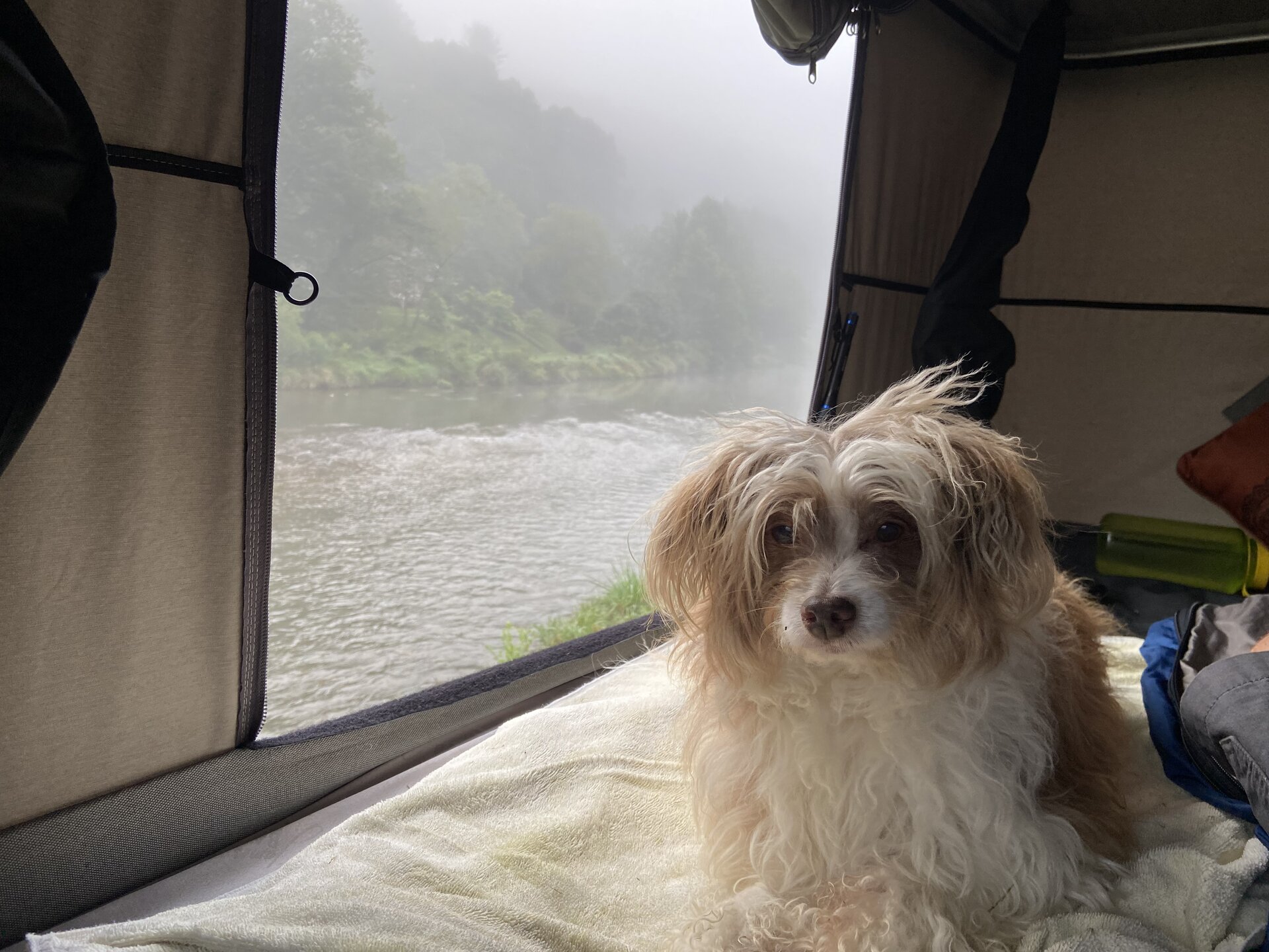 1709702169047.jpeg