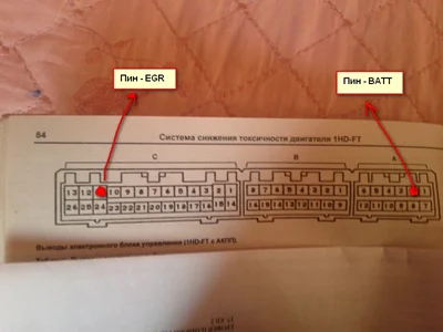 1714978203175.webp