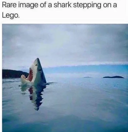 1727792121663.webp