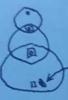 1733758090688.png
