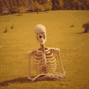 1740533853694.gif