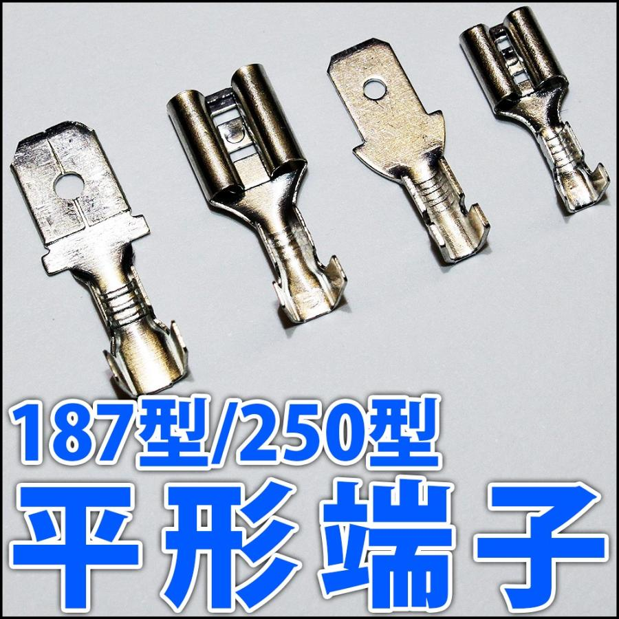 1740677861831.png