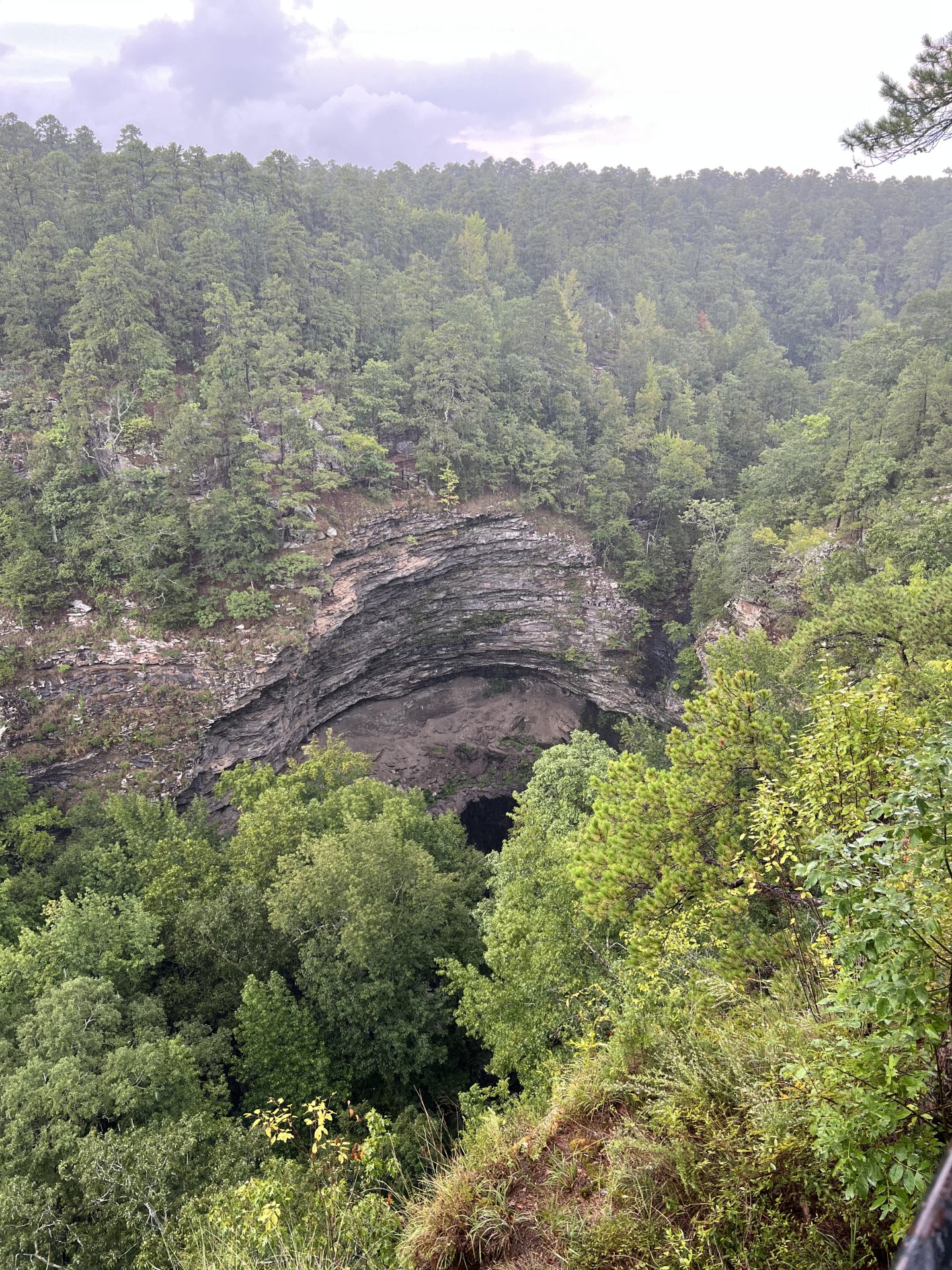 175018D6-76E8-4B69-B653-32489E090B1B.jpeg