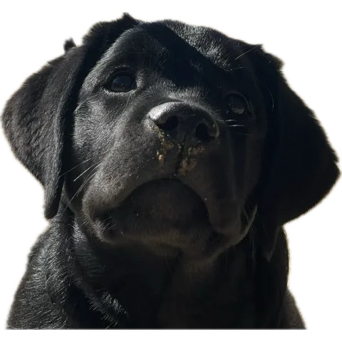 1753594540883.webp