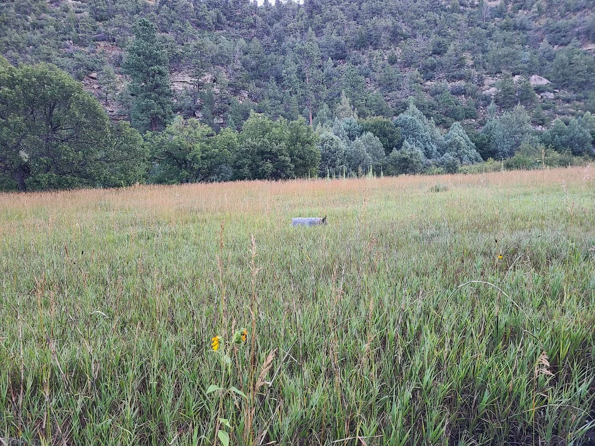 1756847768701.webp