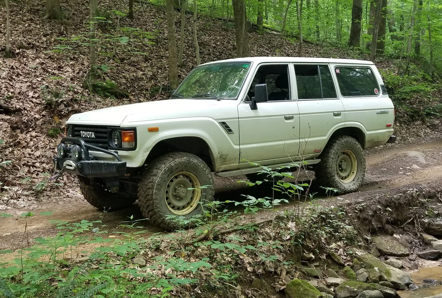 179--FJ60-on-trail-30.webp
