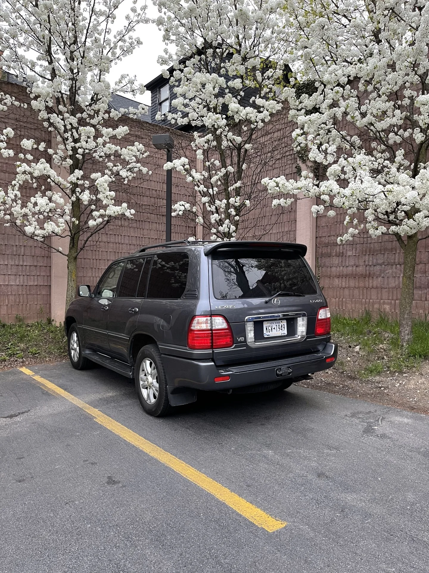 189892CB-C296-4688-BD26-BDCA0706F46F.webp
