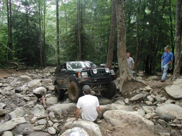 197002_504279632938_7638_n.webp