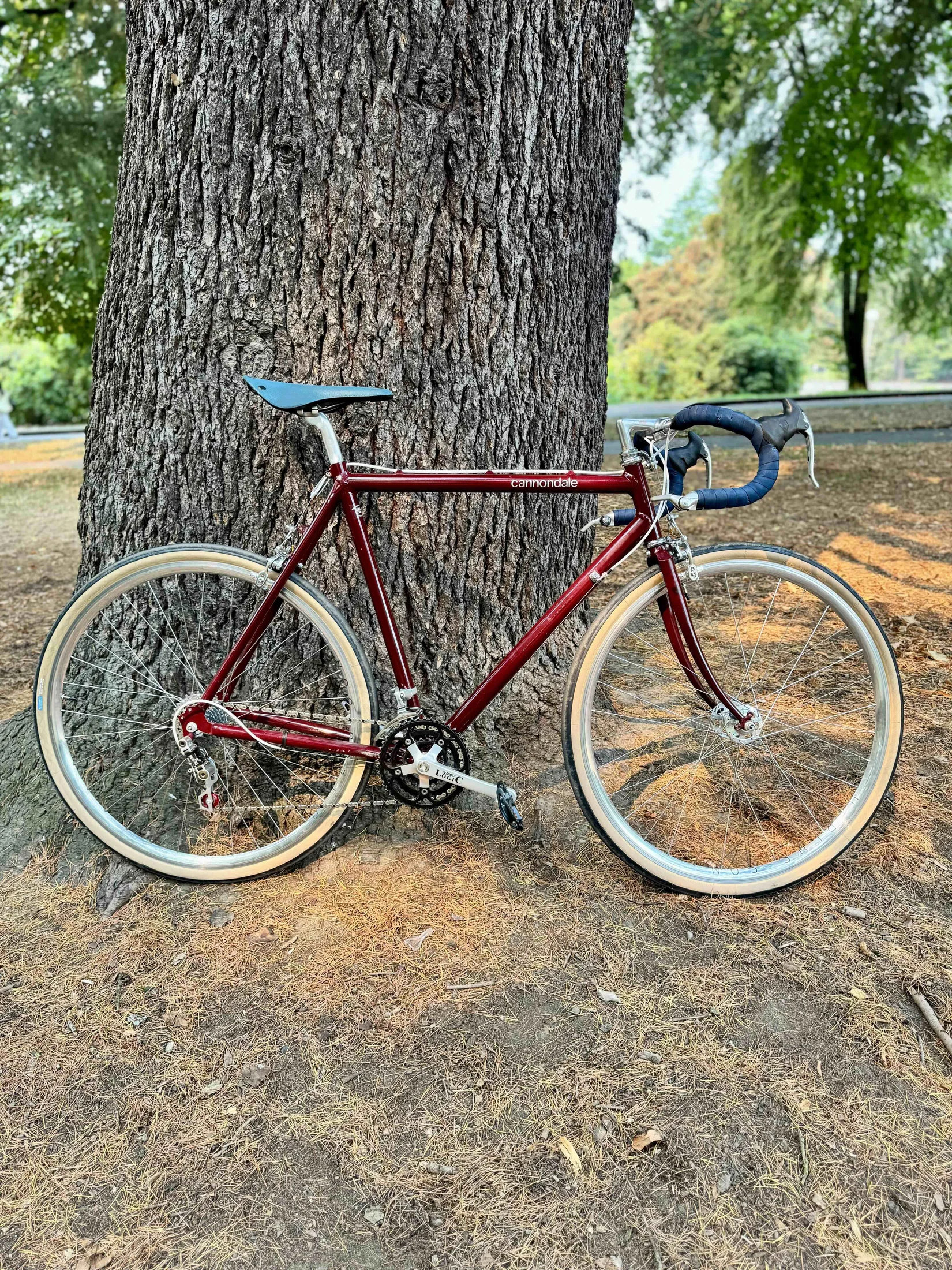 1983 Cannondale .webp
