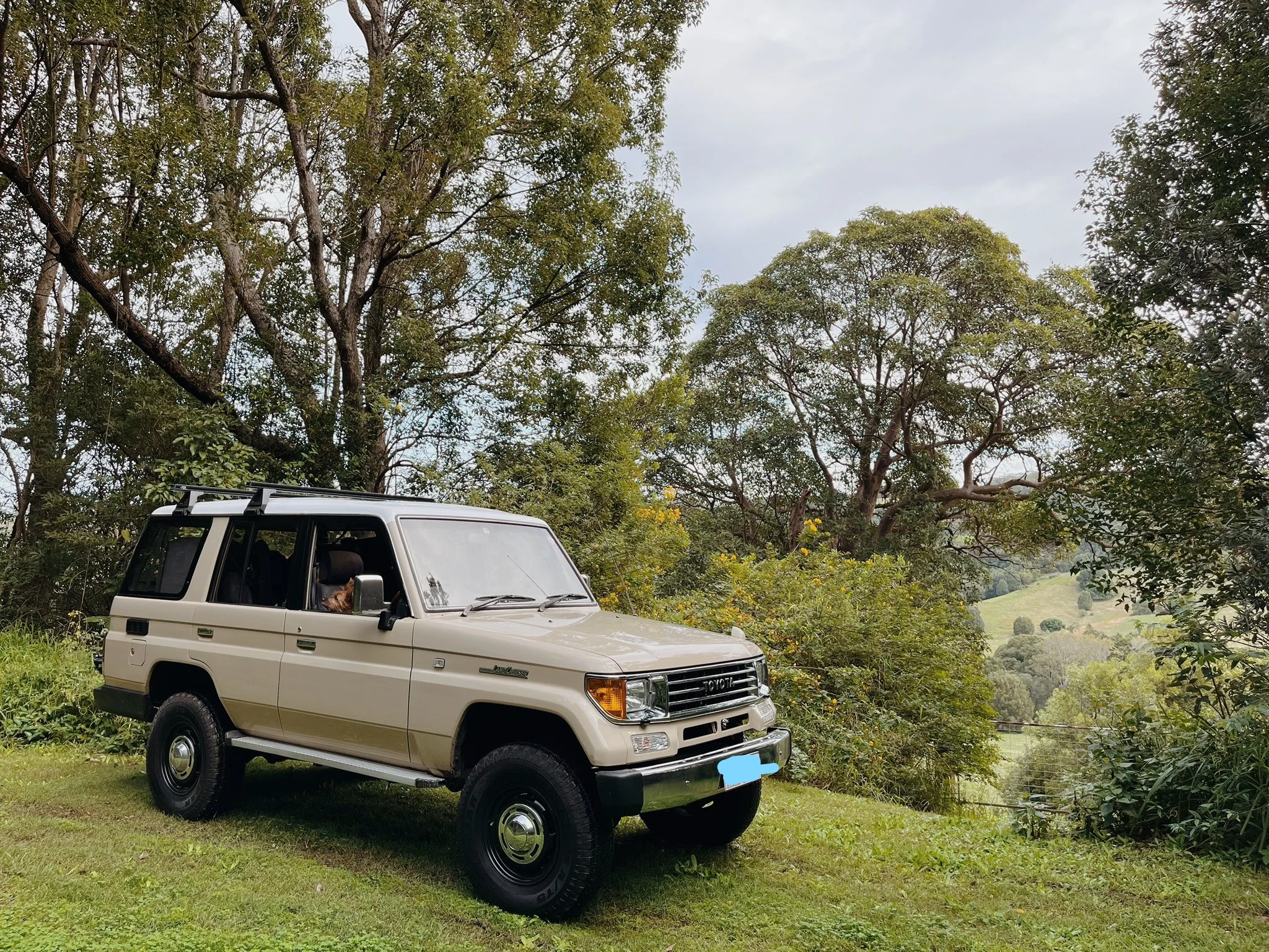 1994 Prado.webp