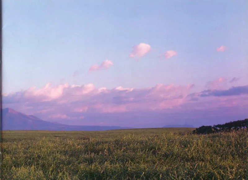 1997_05.webp