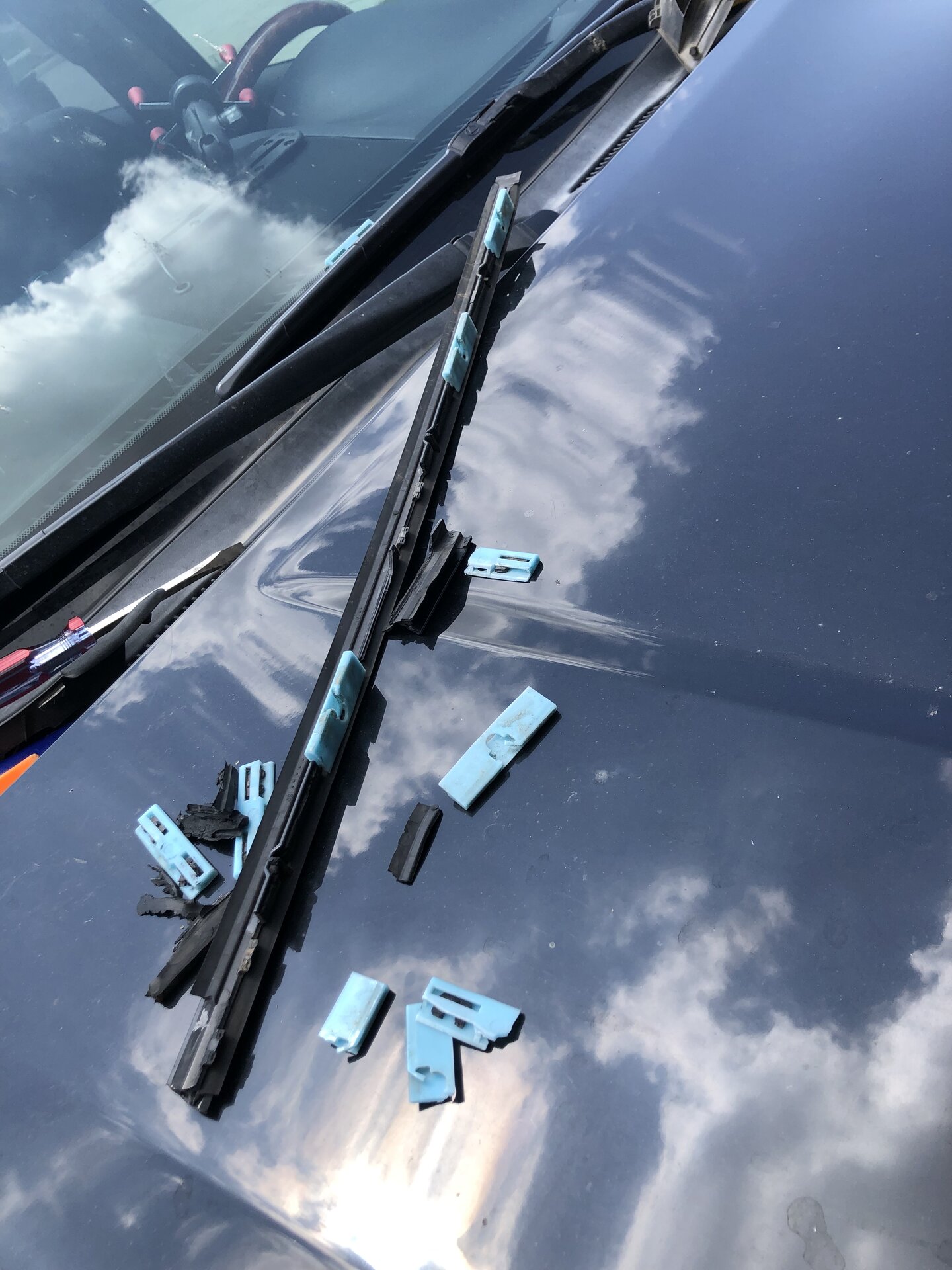 19AACA67-14AF-4BF1-A4FC-328A99B20299.jpeg
