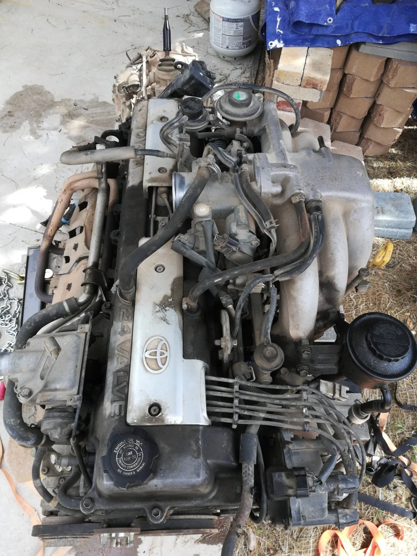 1fzfe_engine_3.jpg