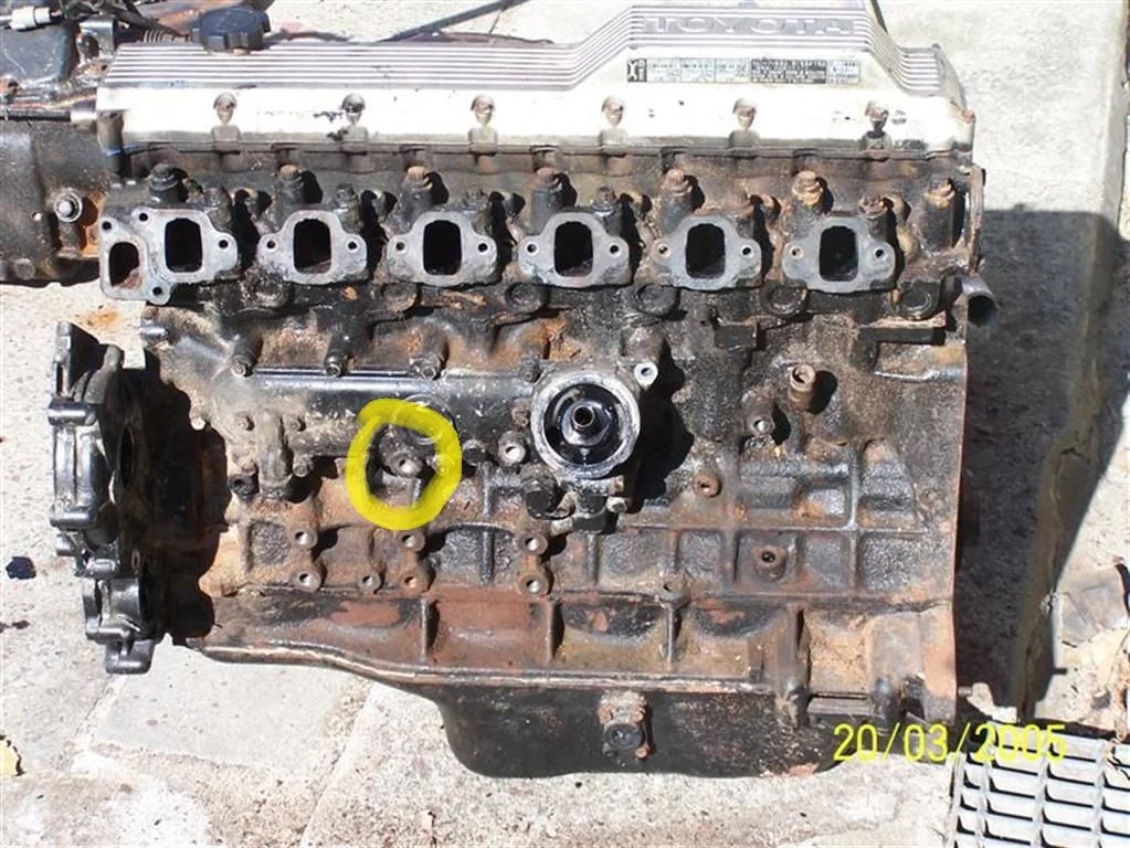 1HZ pics 001 (Medium) (Medium).webp