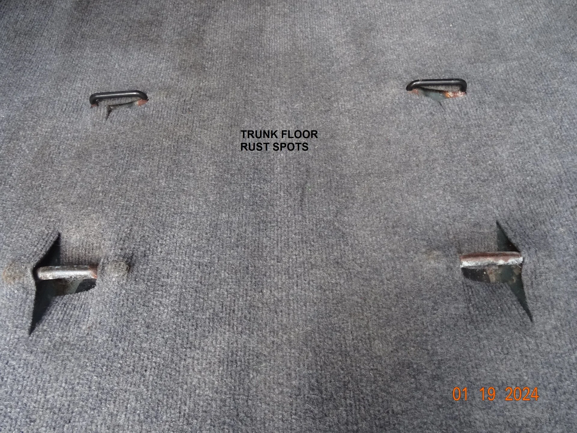 20. Trunk rust spots.webp