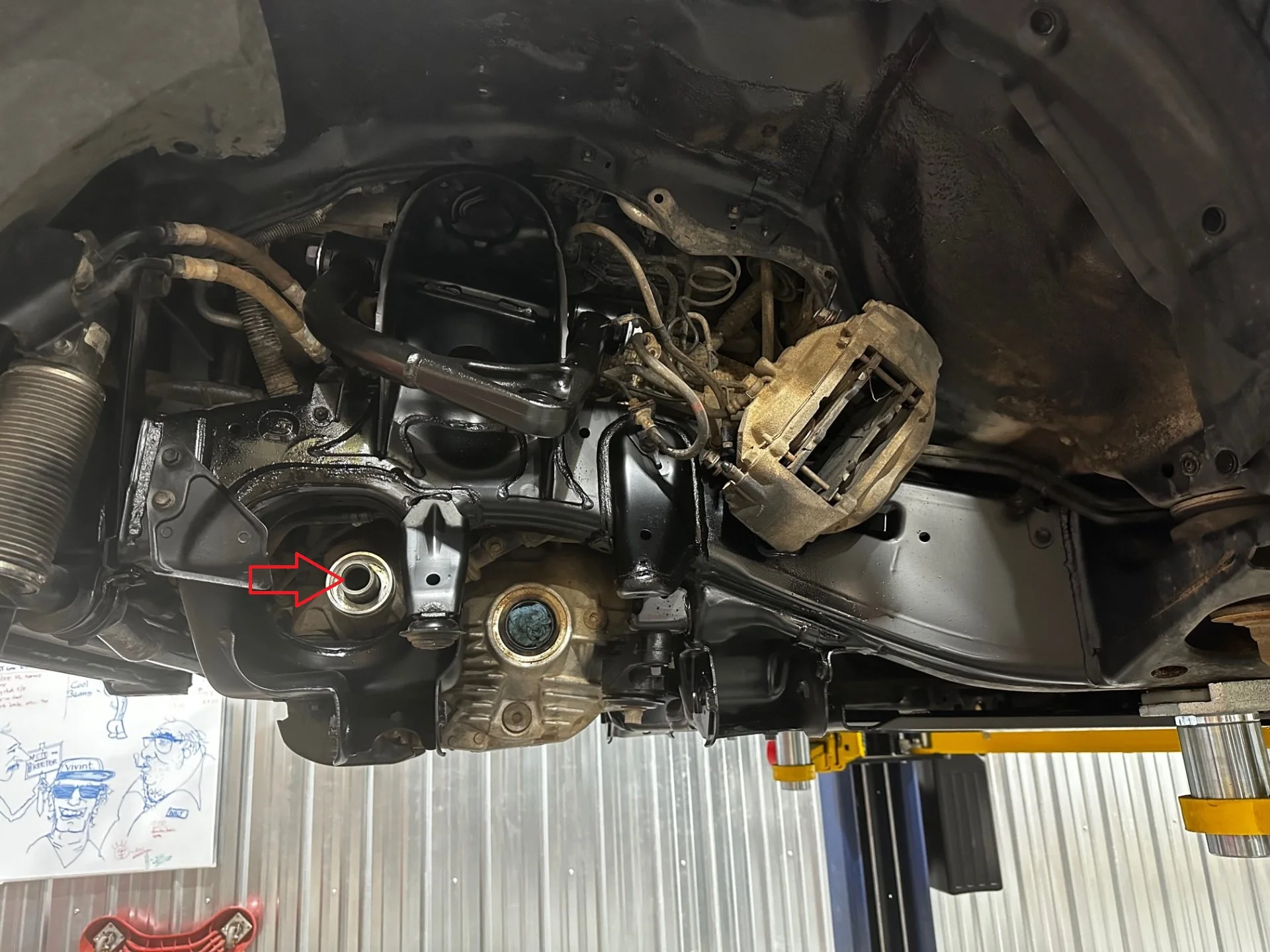 200 F sus apart Cowzilla.webp