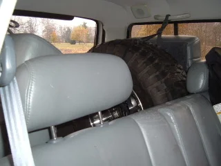 2007_1119_005922.webp