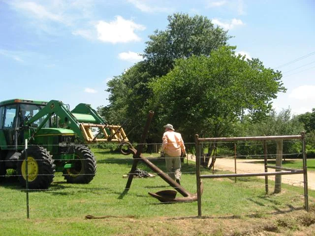 20090620_7.webp