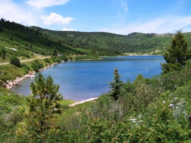 20090724_5.jpg