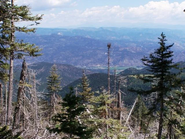 20090727_2.jpg