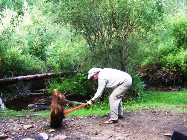 20090727_9C.jpg
