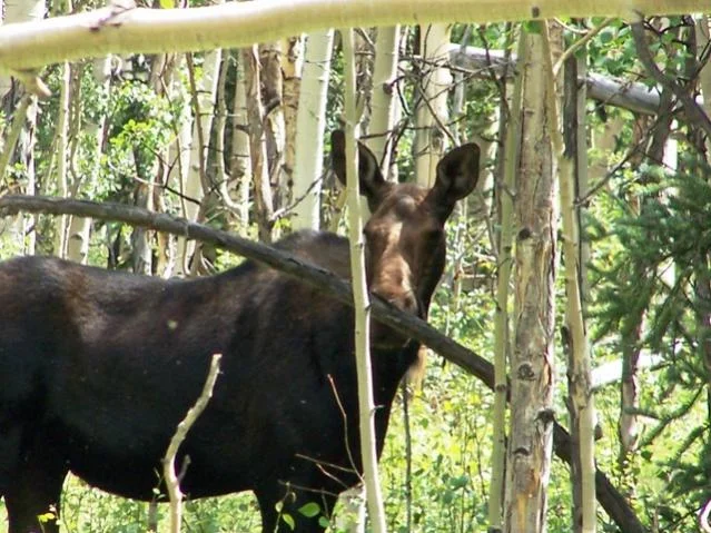 20090802_7.jpg