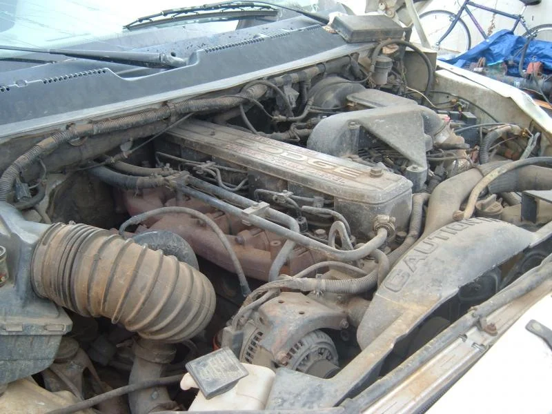 2009_0105sherm0005.webp