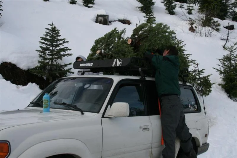 2010 - December - christmas tree run 059 (Large).webp