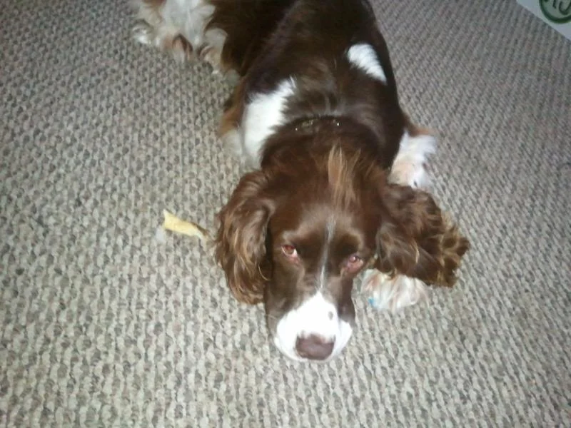 2011-12-31 10.54.58.webp