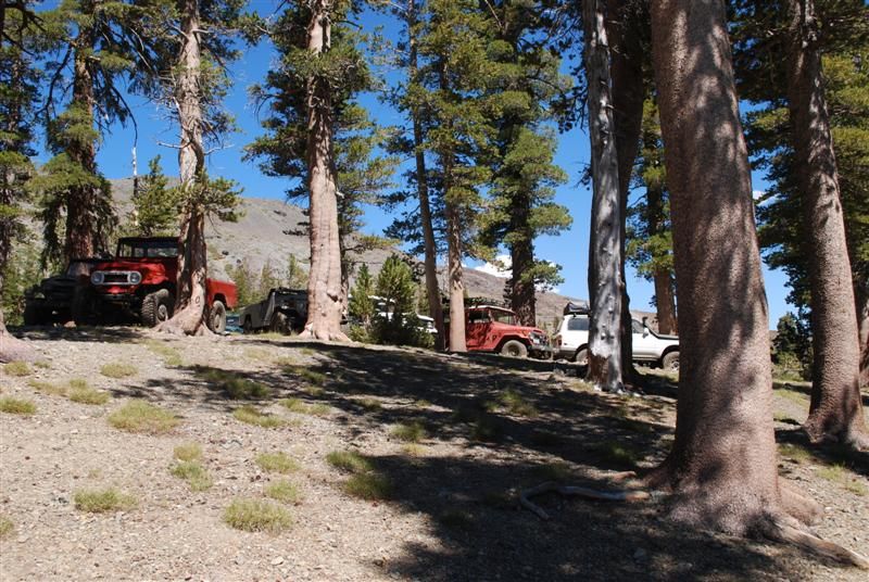 2011 FJ45 Run 035 (Medium).jpg
