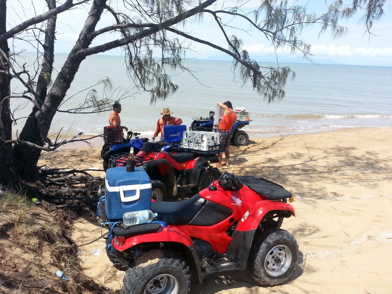 20130115_102530.webp