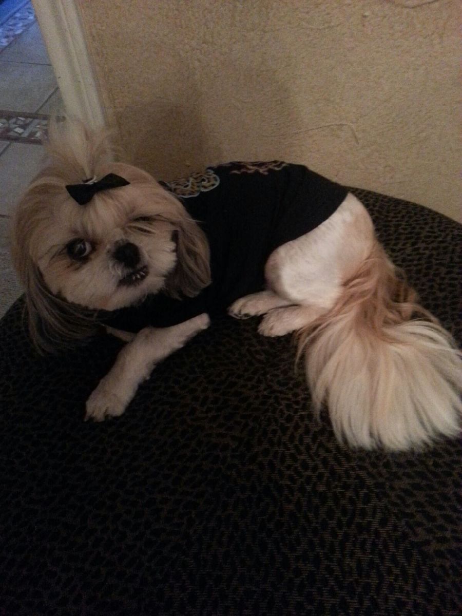 20130118_090036.jpg