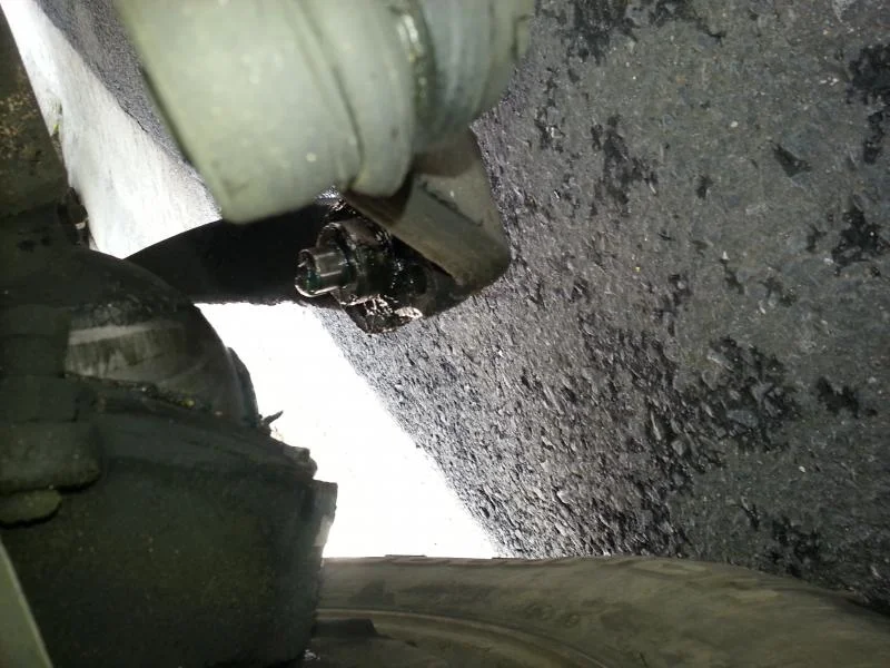 20131223_124207.webp