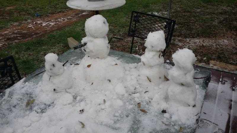 20140124_123158.webp