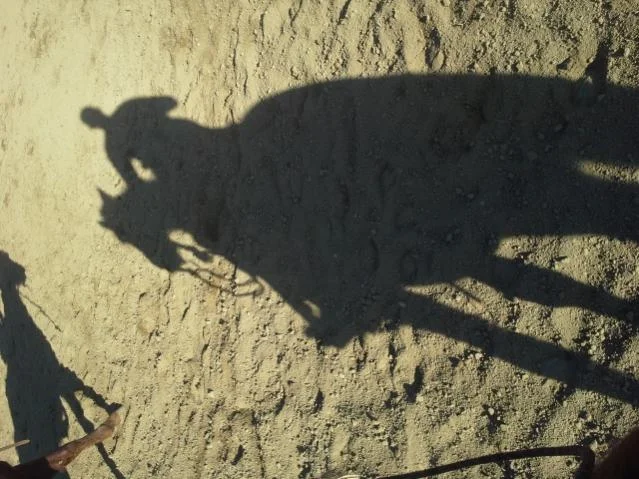 20140220_154721.webp