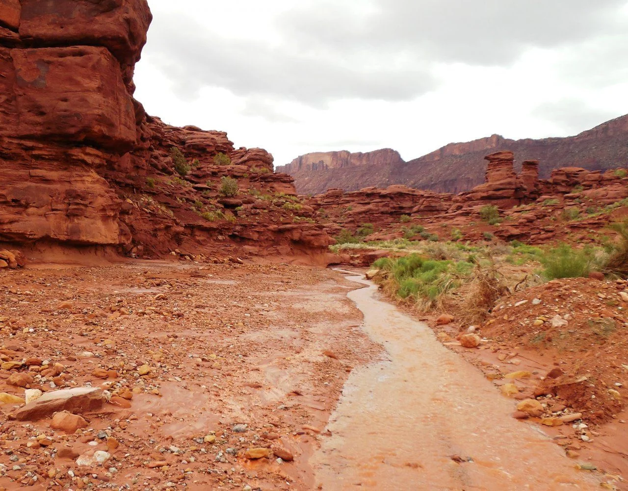 20140512_A_Onion Creek Road.webp